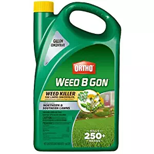 Ortho Weed B Gon Weed Killer for Lawns Concentrate, 1-Gallon