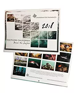 2018 Underwater Paparazzi Calendar Sea Life Photography So Cal Southern California