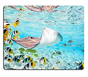 Mouse Pad Gaming Mouse pad Natural Rubber Mouse mat Colorful Fish Stingray and Black Tipped Sharks Underwater in Bora Bora Lagoon M0A02047