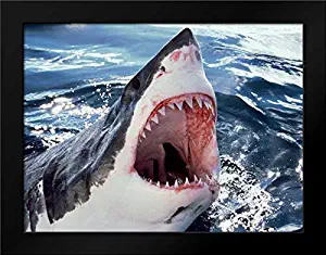 Great White Shark at Surface with Open Mouth, Neptune Islands, Australia. Digitally Enhanced. Framed Art Print by Parry, Mike