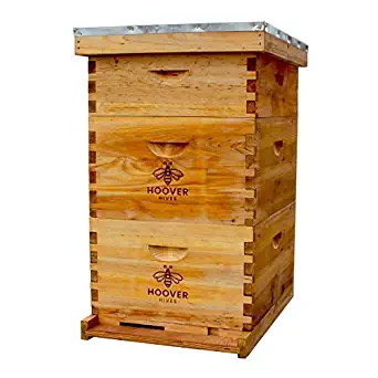 Hoover Hives Natural Bees Wax Coated 10 Frame Bee Hive Includes Frames and Foundations (2 Deep Box, 1 Medium Box)