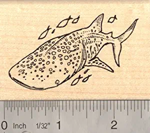 Whale Shark Rubber Stamp Australian Reef Fish