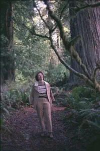 Home Comforts Lady Bird Johnson toured The Giant Redwoods in Eureka, California in The Fall of 1968. Vivid Imagery Laminated Poster Print 24 x 36