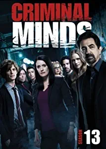 Criminal Minds: The Thirteenth Season