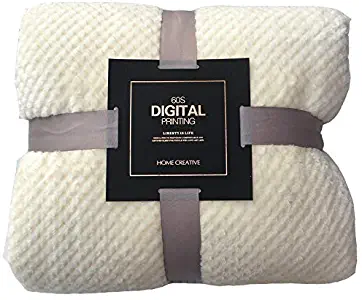 Excursion Home Flannel Fleece Luxury Throw Blanket, Large All Season Super Soft Comfy Plush Couch Blanket Reversible Bed Throw TV Blanket (White, 27.5 x 39.3inch)