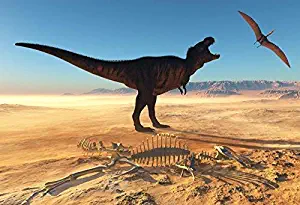 5x4ft 3D Dinosaur Theme Party Backdrop Jurassic Period Primeval Forest Backdrops for Photography Dino Attack Expedition Boys Kids Birthday Photo Booth YouTube Video Shoot Vinyl Studio Props