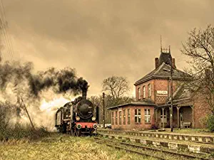 1000 Piece Jigsaw Puzzles Old Retro Steam Train Stopped at The Small Station Vintage Haunted 32"x48" Adult Children Wooden Educational Toy Game Supplies for Home Decoration Creative Gift