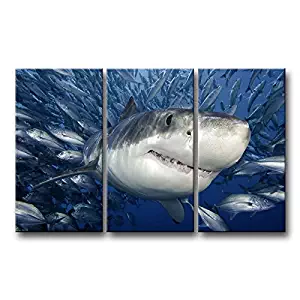 3 Piece Blue Wall Art Painting Shark Catching Fish Pictures Prints On Canvas Animal The Picture Decor Oil For Home Modern Decoration Print