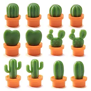 Svance refrigerator magnet kitchen magnet office magnet whiteboard and dry cleaning board, lovely and colorful potted design (12 sets) (cactus)