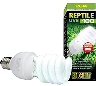 Exo Terra Repti-Glo 5.0 Compact Fluorescent Tropical Terrarium Lamp