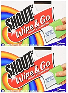 Shout Wipes - Portable Stain Treater Towelettes Pack of 2, 24 Wipes Count, Multicolor