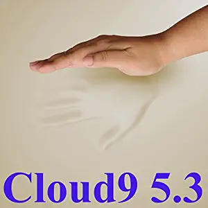5.3 Cloud9 Twin XL 1.5 Inch 100% Visco Elastic Memory Foam Mattress Topper