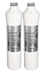 IPW Industries Inc Pack of 2 Watts Premier 105381 WP105381 RO Pure Plus VOC Filter; Silver
