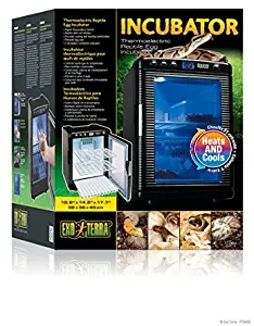 Josh's Frogs Exo Terra Incubator