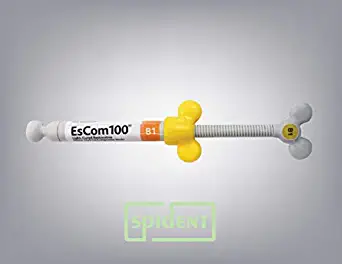 Spident Escom100 Syringe Shade B1- Universal Composite Resin Syringe, 4g x 1 Syringe