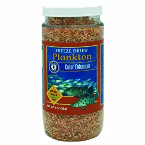 San Francisco Bay Brand Freeze Dried Plankton 2 oz.