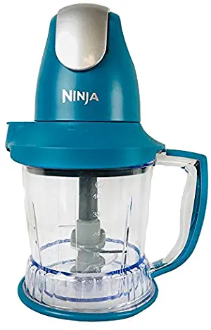 Ninja Storm Master Prep Food Processor Blender Powerful One Touch 450W Motor Pod BPA-Free Pitcher Dishwasher Safe QB751Q (Renewed) (Teal)