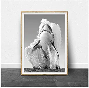Vektenxi Great White Shark Black White Posters and Prints Monochrome Nature Wall Art Canvas Painting Pictures for Living Room Home Decor -60x80cm No Frame
