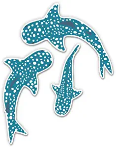 GT Graphics Express Whale Sharks Set of 3 Cute - 2" Vinyl Stickers - for Car Laptop I-Pad Phone Helmet Hard Hat - Waterproof Decals