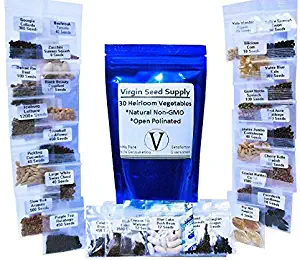 10,000 Seed Lot - 30 Vegetable & Fruit Variety Pack - Survival Non-gmo Varieties